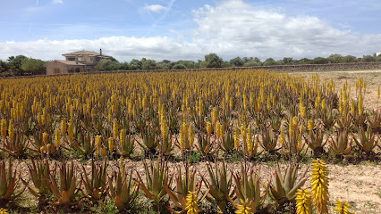Aloe Vera Farm Mallorca S.L.